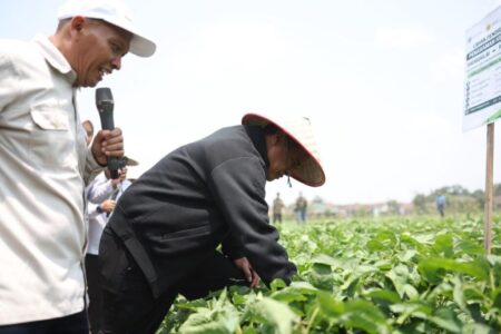 Mentan Dorong Pengembangan Kedelai 5.000 Hektare di Grobogan dengan UGM